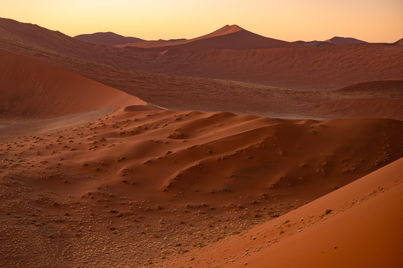 Pustynia Namib Namibia Co Warto Zobaczy I Jak Organizowa